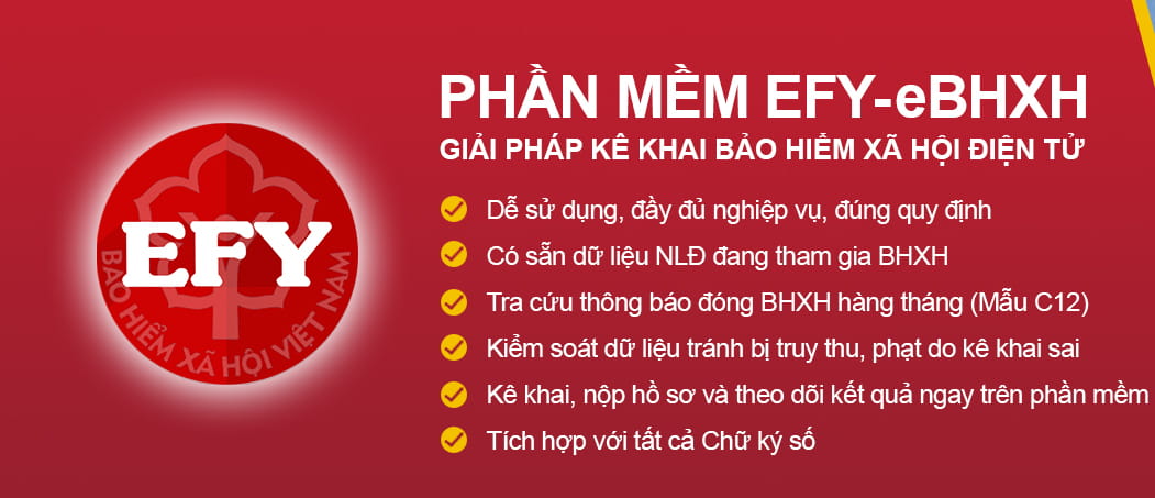 Phần mềm EFY